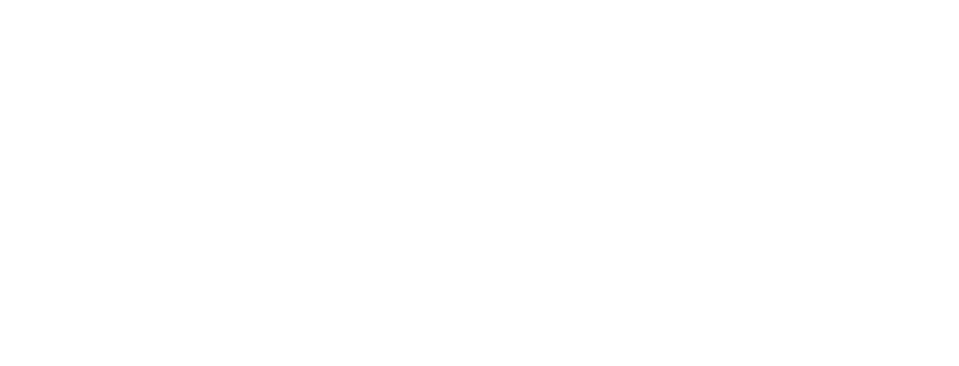 Realyze Ventures